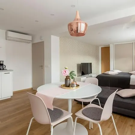 Rosegold Studio Ljubljana Free Parking Bikes Washer&Dryer Apartma