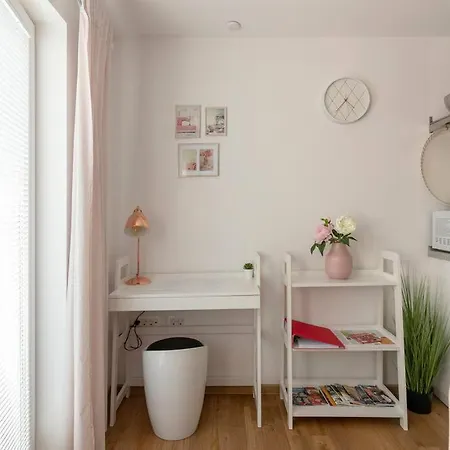 Rosegold Studio Ljubljana Free Parking Bikes Washer&Dryer Ljubljana